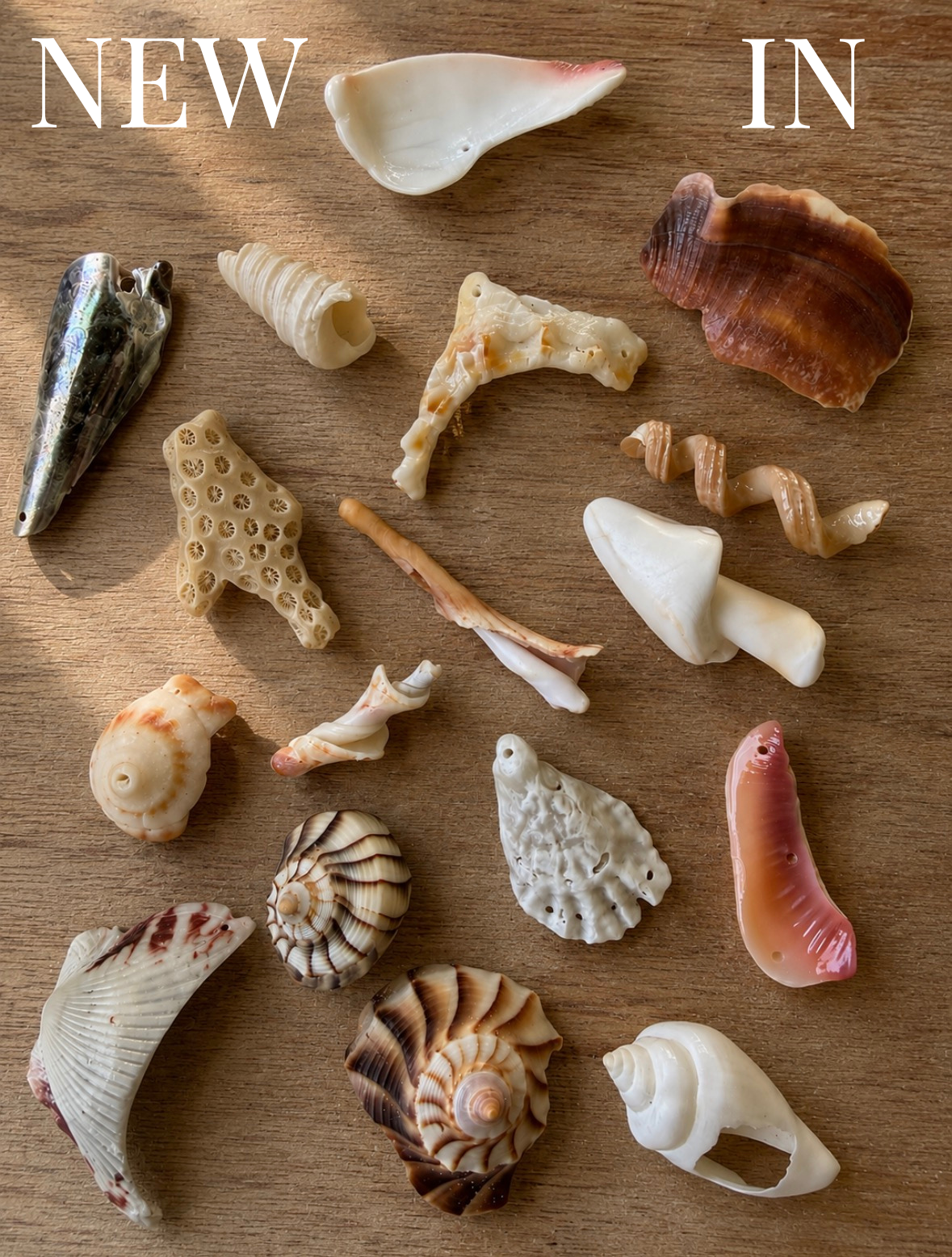 FRAGMENT COLLECTION