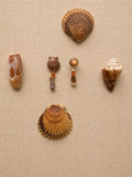 Coastal Clay Earrings