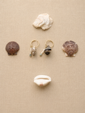 Earth Coast Earrings