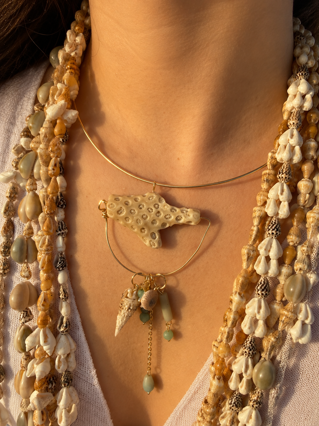 Coral Fragment 3 Of 24